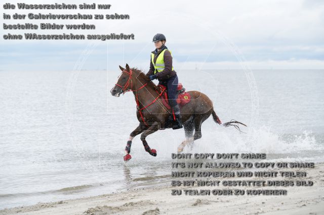 s_K3F04808.JPG
